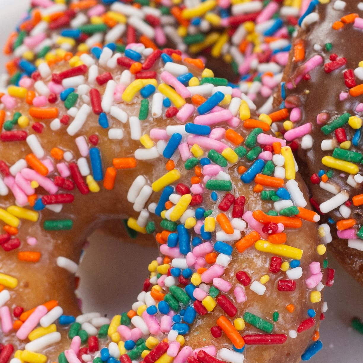 Donut Hut